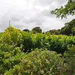 Quinta Da Pêra Rocha Couette-café Alcobaça