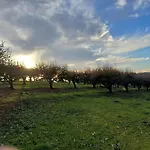 Quinta Da Pêra Rocha