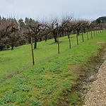 Quinta Da Pêra Rocha 4*