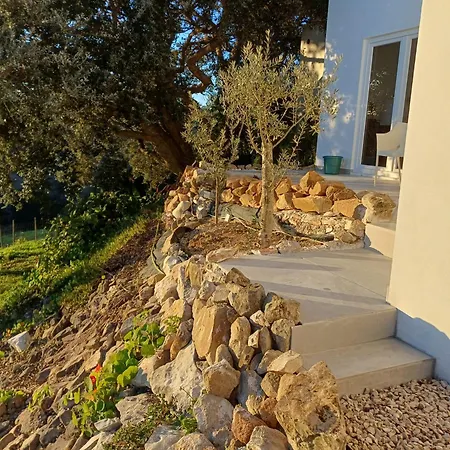 Quinta Da Pêra Rocha