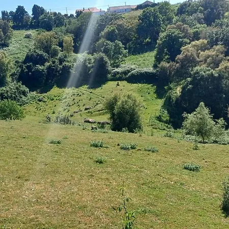 B&B Quinta Da Pera Rocha 4*