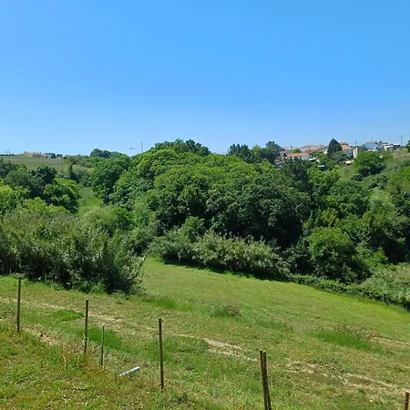 Quinta Da Pêra Rocha Alojamento de Acomodação e Pequeno-almoço 3*