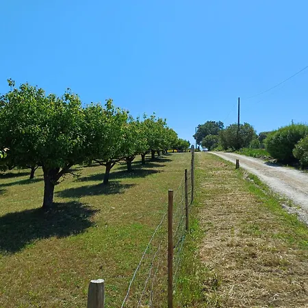 Quinta Da Pêra Rocha Alojamento de Acomodação e Pequeno-almoço Alcobaça