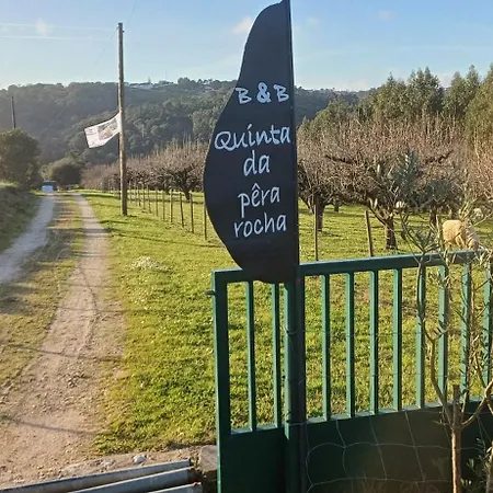 Quinta Da Pera Rocha * 알코바카