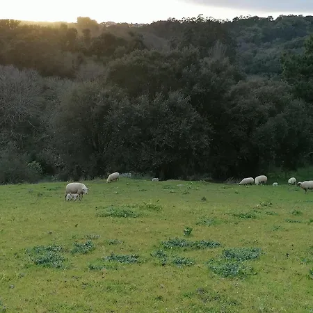 Quinta Da Pêra Rocha Alcobaça