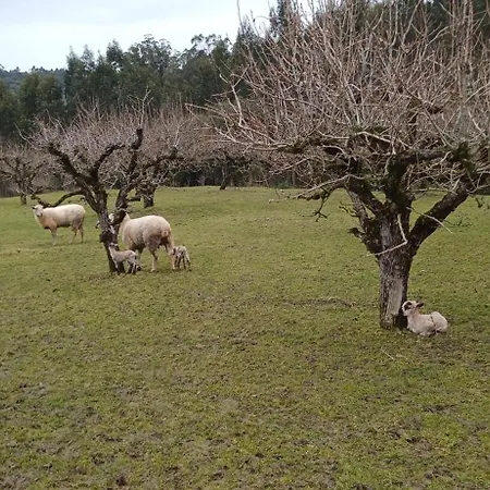 Alojamento de Acomodação e Pequeno-almoço Quinta Da Pêra Rocha Alcobaça