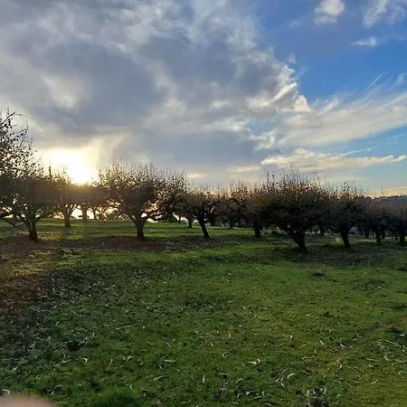 Quinta Da Pêra Rocha