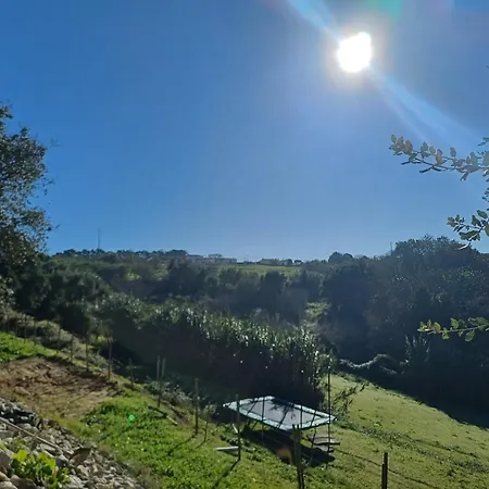 Alojamento de Acomodação e Pequeno-almoço Quinta Da Pêra Rocha 4*