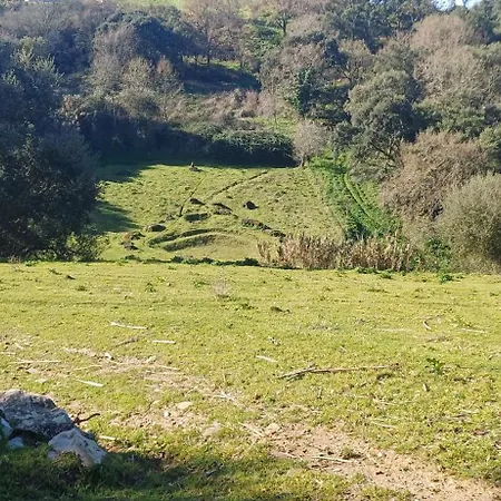 Quinta Da Pêra Rocha Alojamento de Acomodação e Pequeno-almoço Alcobaça