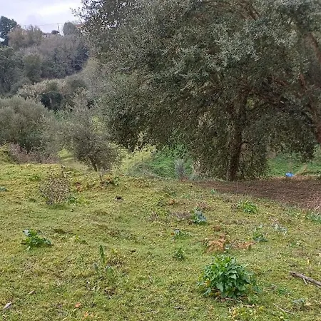 Quinta Da Pera Rocha * 알코바카