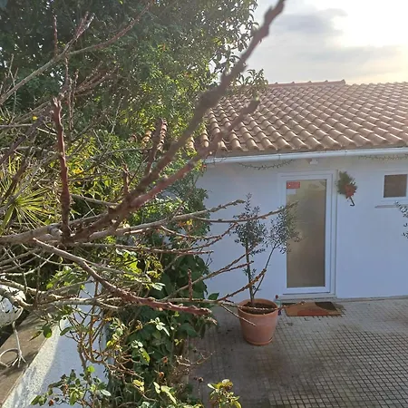 Alojamento de Acomodação e Pequeno-almoço Quinta Da Pêra Rocha Alcobaça