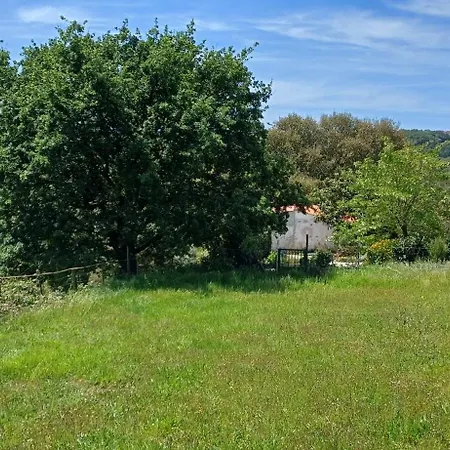 Quinta Da Pêra Rocha Alcobaça