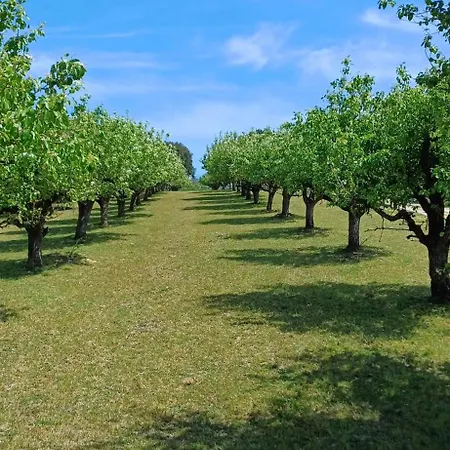 Quinta Da Pêra Rocha Alojamento de Acomodação e Pequeno-almoço Alcobaça