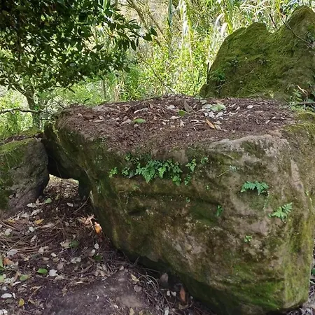 Quinta Da Pêra Rocha Alcobaça