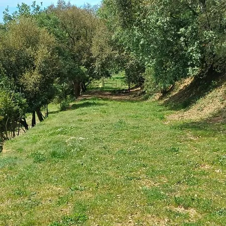 Quinta Da Pêra Rocha Alojamento de Acomodação e Pequeno-almoço 4*