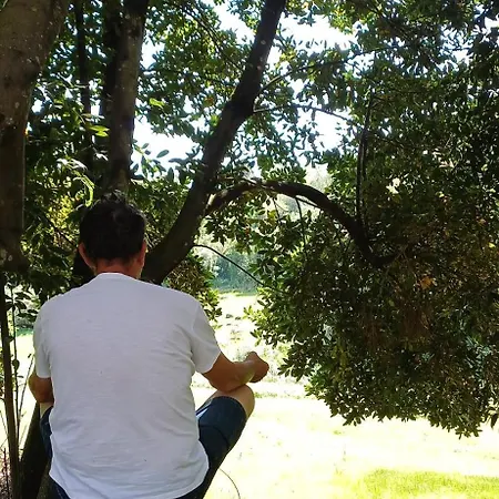 Quinta Da Pera Rocha 4* Alcobaca