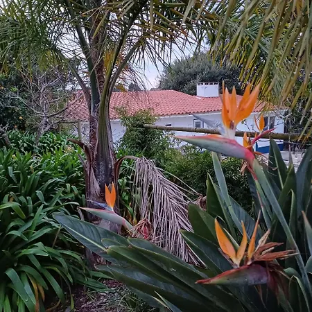 Bed & Breakfast Quinta Da Pera Rocha