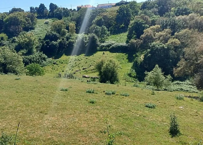 Alojamento de Acomodação e Pequeno-almoço Quinta Da Pêra Rocha 3*