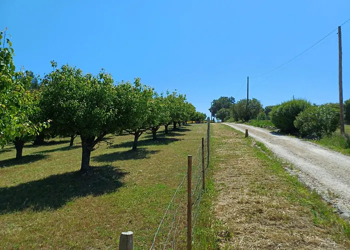 Quinta Da Pêra Rocha Alojamento de Acomodação e Pequeno-almoço Alcobaça