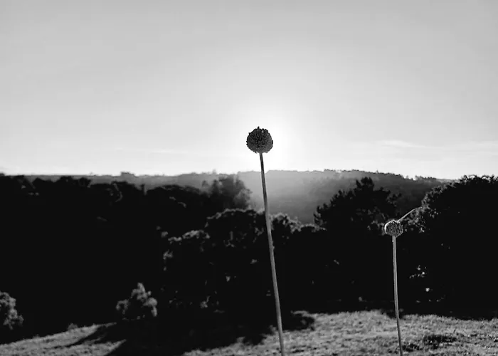 Alojamento de Acomodação e Pequeno-almoço Quinta Da Pêra Rocha 3*