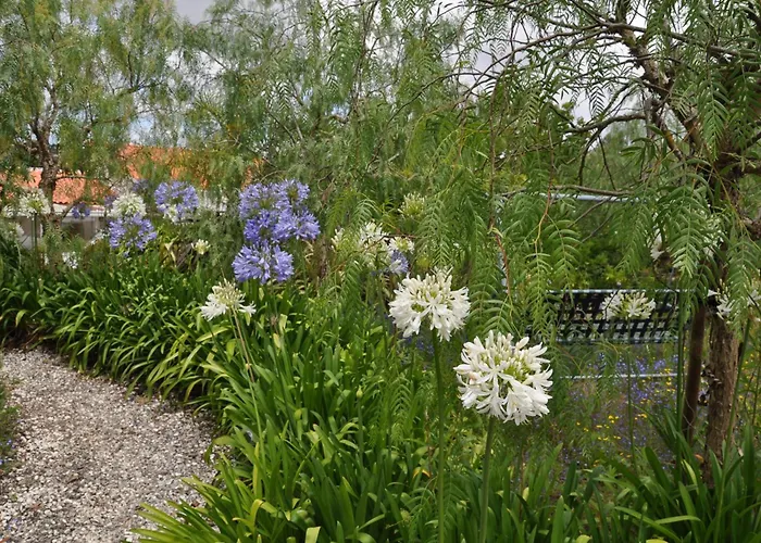 Quinta Da Pêra Rocha Alcobaça