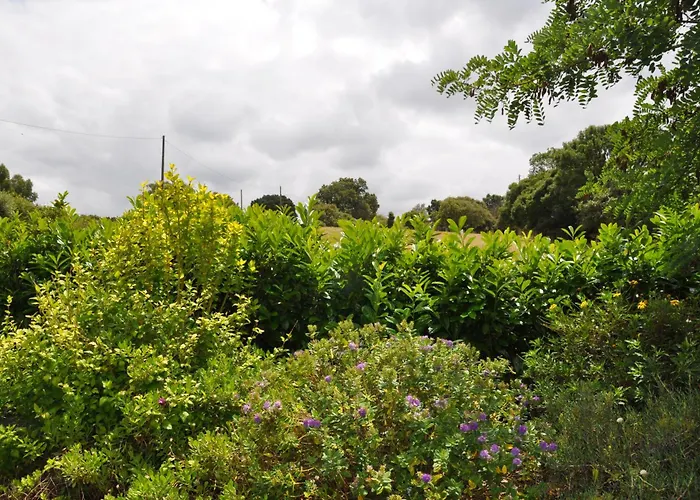 Quinta Da Pêra Rocha Alojamento de Acomodação e Pequeno-almoço Alcobaça