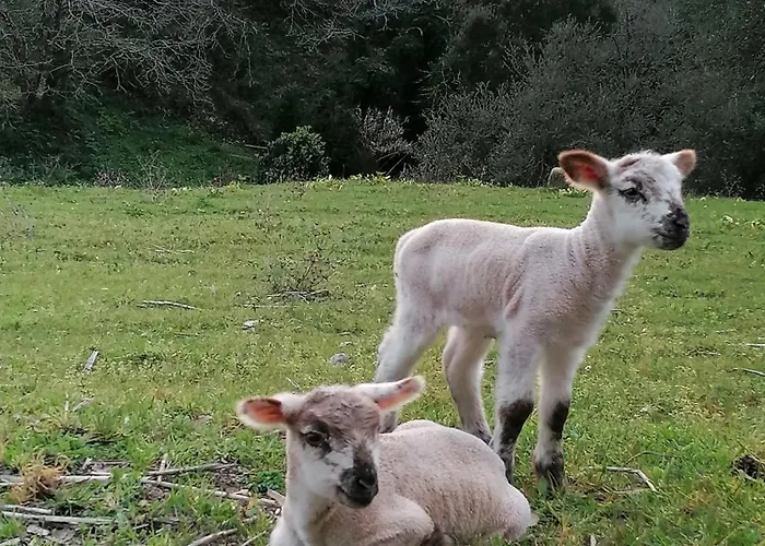 Quinta Da Pêra Rocha