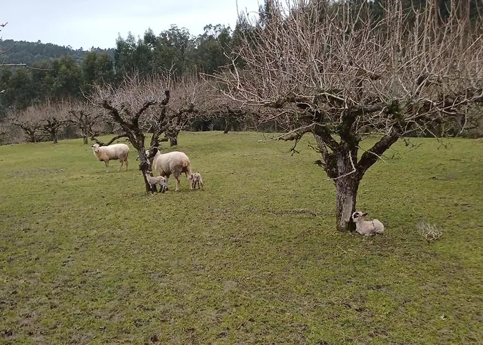 Alojamento de Acomodação e Pequeno-almoço Quinta Da Pêra Rocha Alcobaça