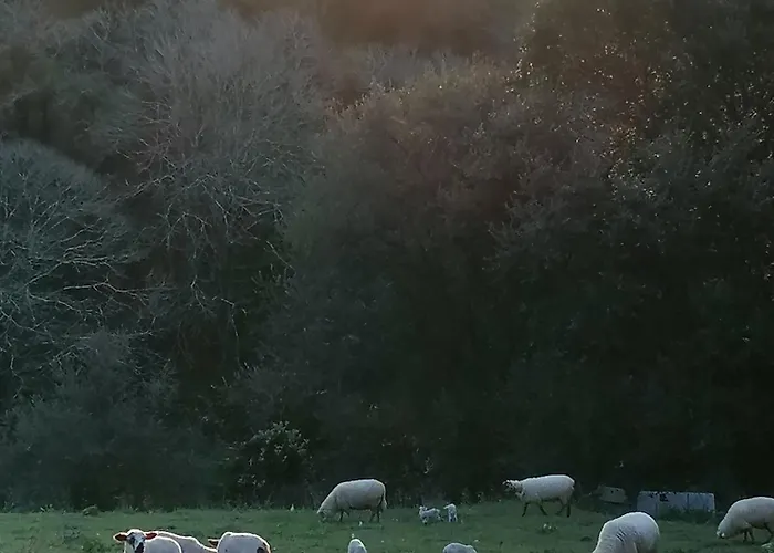 Quinta Da Pêra Rocha Alcobaça