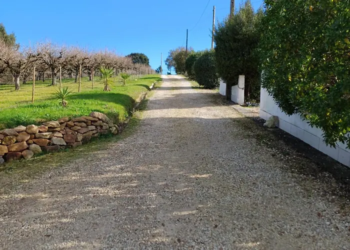Quinta Da Pêra Rocha Alojamento de Acomodação e Pequeno-almoço Alcobaça
