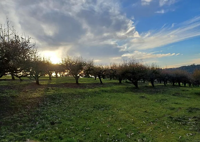 Quinta Da Pêra Rocha