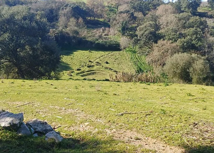 Quinta Da Pêra Rocha Alojamento de Acomodação e Pequeno-almoço Alcobaça