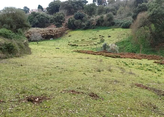 Quinta Da Pêra Rocha Alojamento de Acomodação e Pequeno-almoço