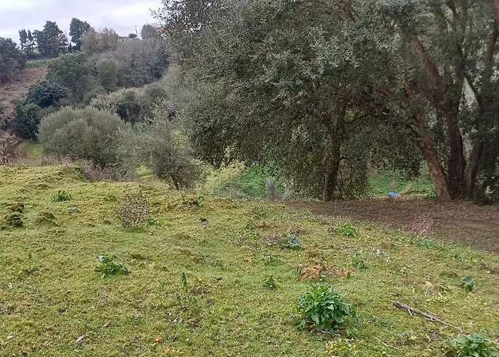 Quinta Da Pêra Rocha 3* Alcobaça