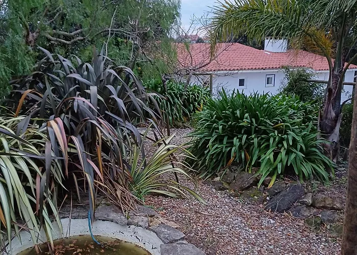 Alojamento de Acomodação e Pequeno-almoço Quinta Da Pêra Rocha