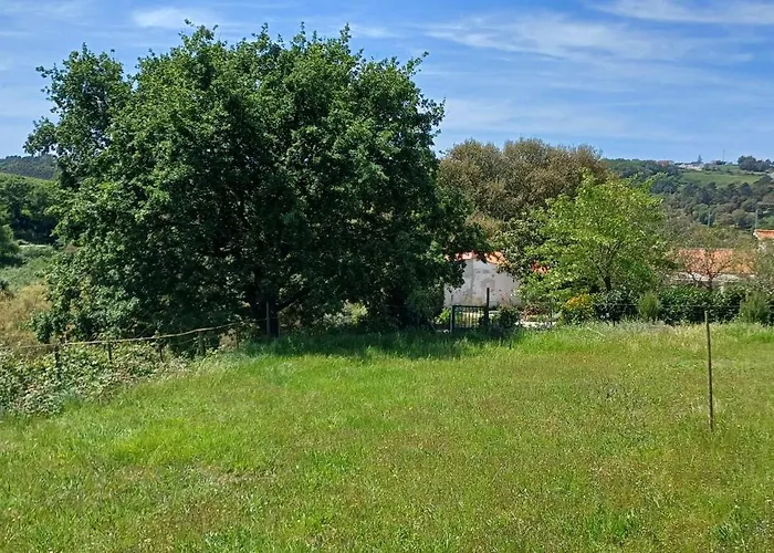 Quinta Da Pêra Rocha Alcobaça