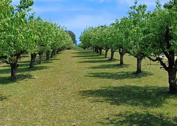 Quinta Da Pêra Rocha Alojamento de Acomodação e Pequeno-almoço Alcobaça