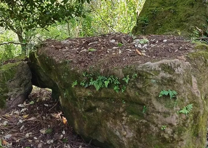 Quinta Da Pêra Rocha Alcobaça