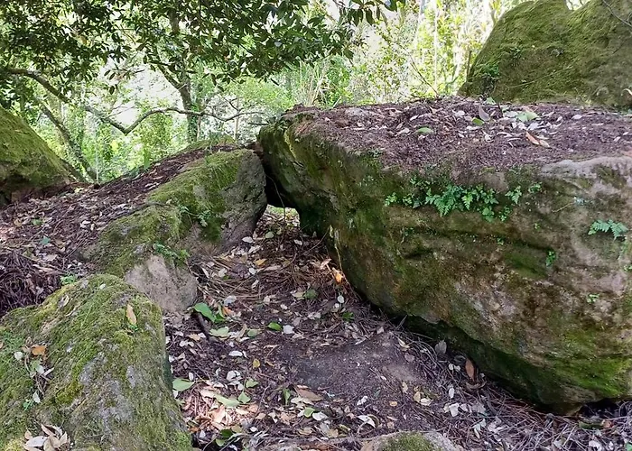 Quinta Da Pêra Rocha Alojamento de Acomodação e Pequeno-almoço Alcobaça