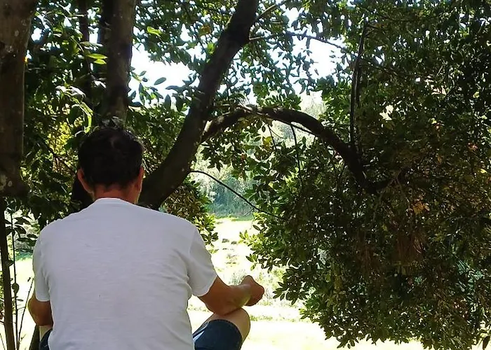 Quinta Da Pêra Rocha 3* Alcobaça