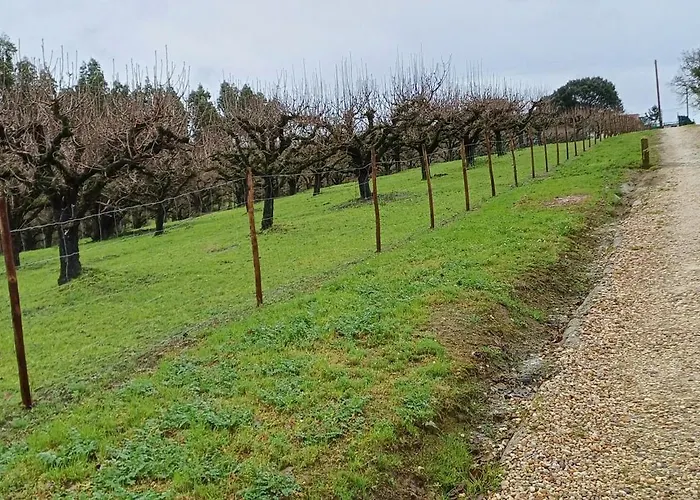 Quinta Da Pêra Rocha 3*