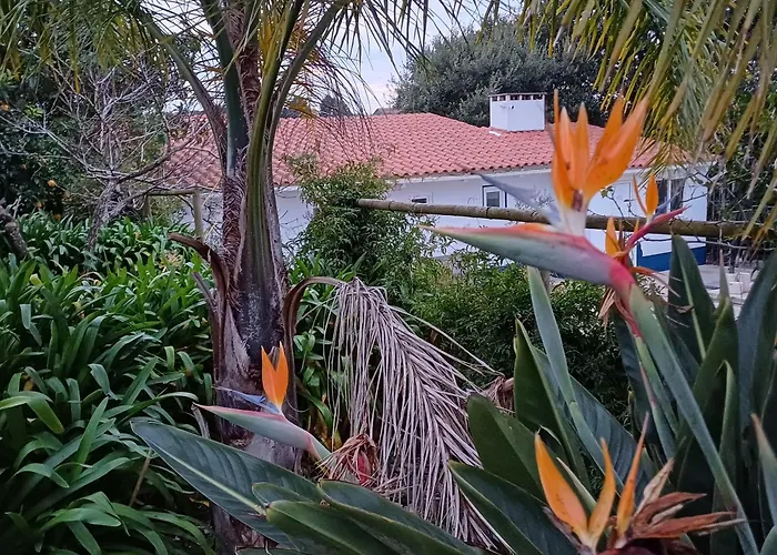 Alojamento de Acomodação e Pequeno-almoço Quinta Da Pêra Rocha